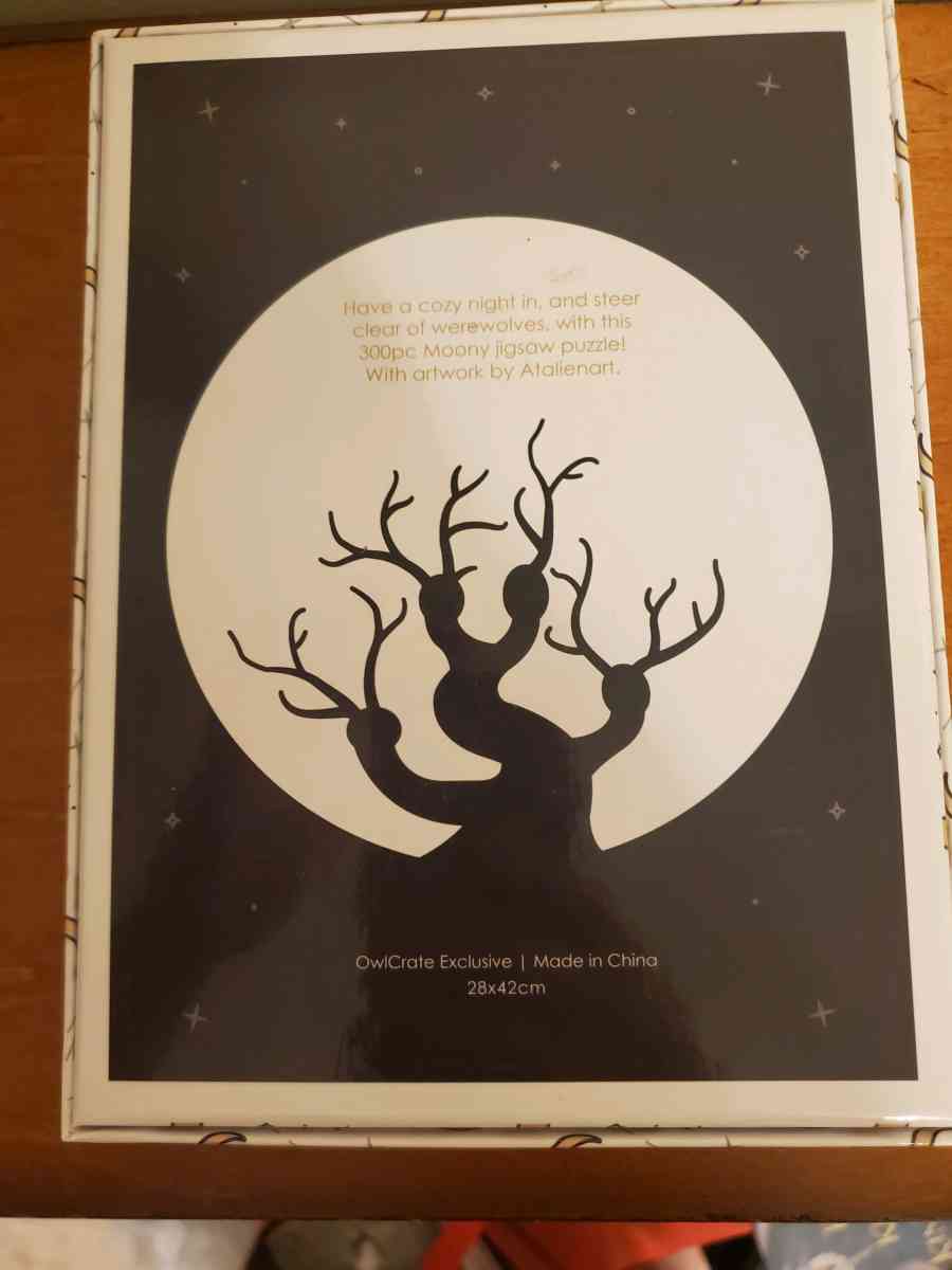 Bookish Owlcrate Exclusive Puzzle - Anoka, Minnesota - FleaMarketBay