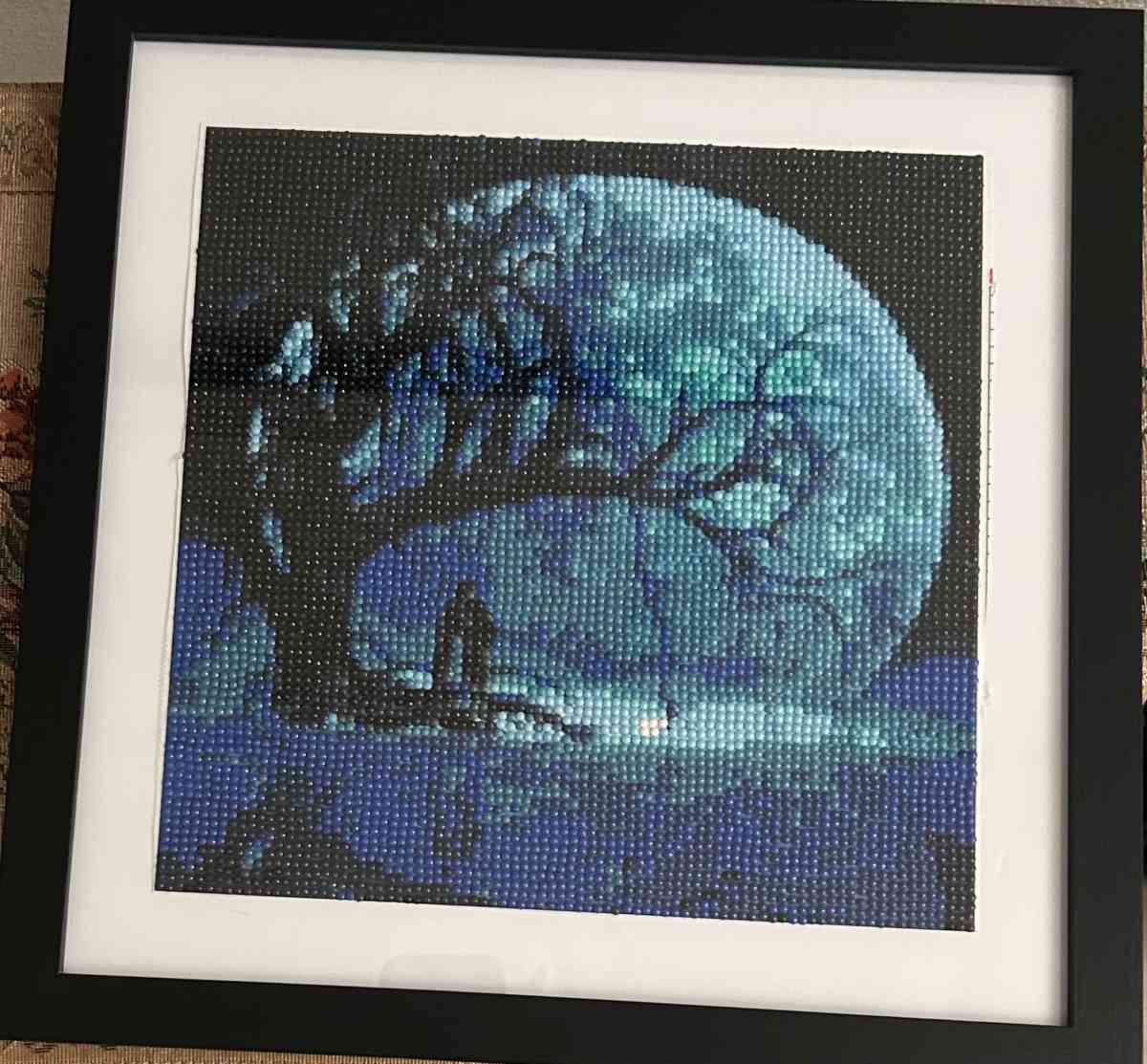 Moon at night - Riverview, Florida - FleaMarketBay