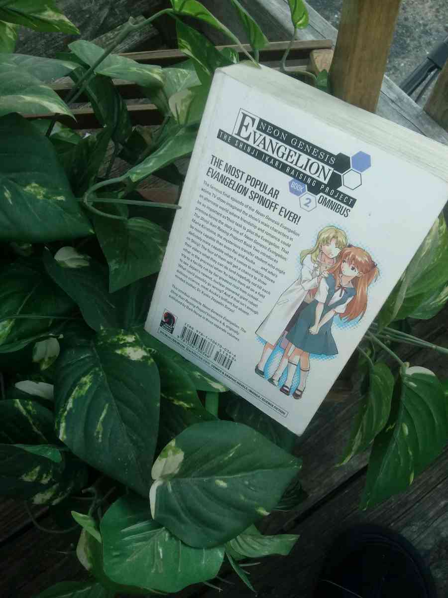 Neon Genesis Evangelion