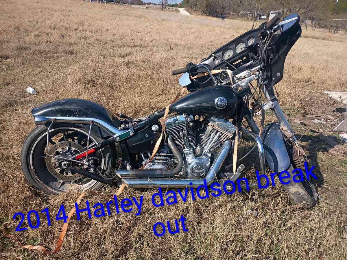 two different kinds of Harley davidsons