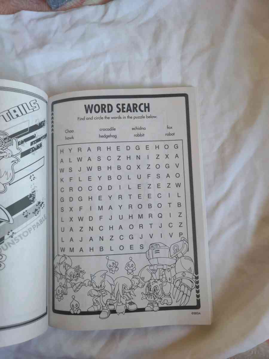 Sonic and Hedgehog activity and coloring book - Gary, Indiana - FleaMarketBay