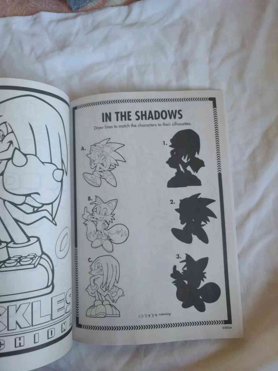 Sonic and Hedgehog activity and coloring book - Gary, Indiana - FleaMarketBay