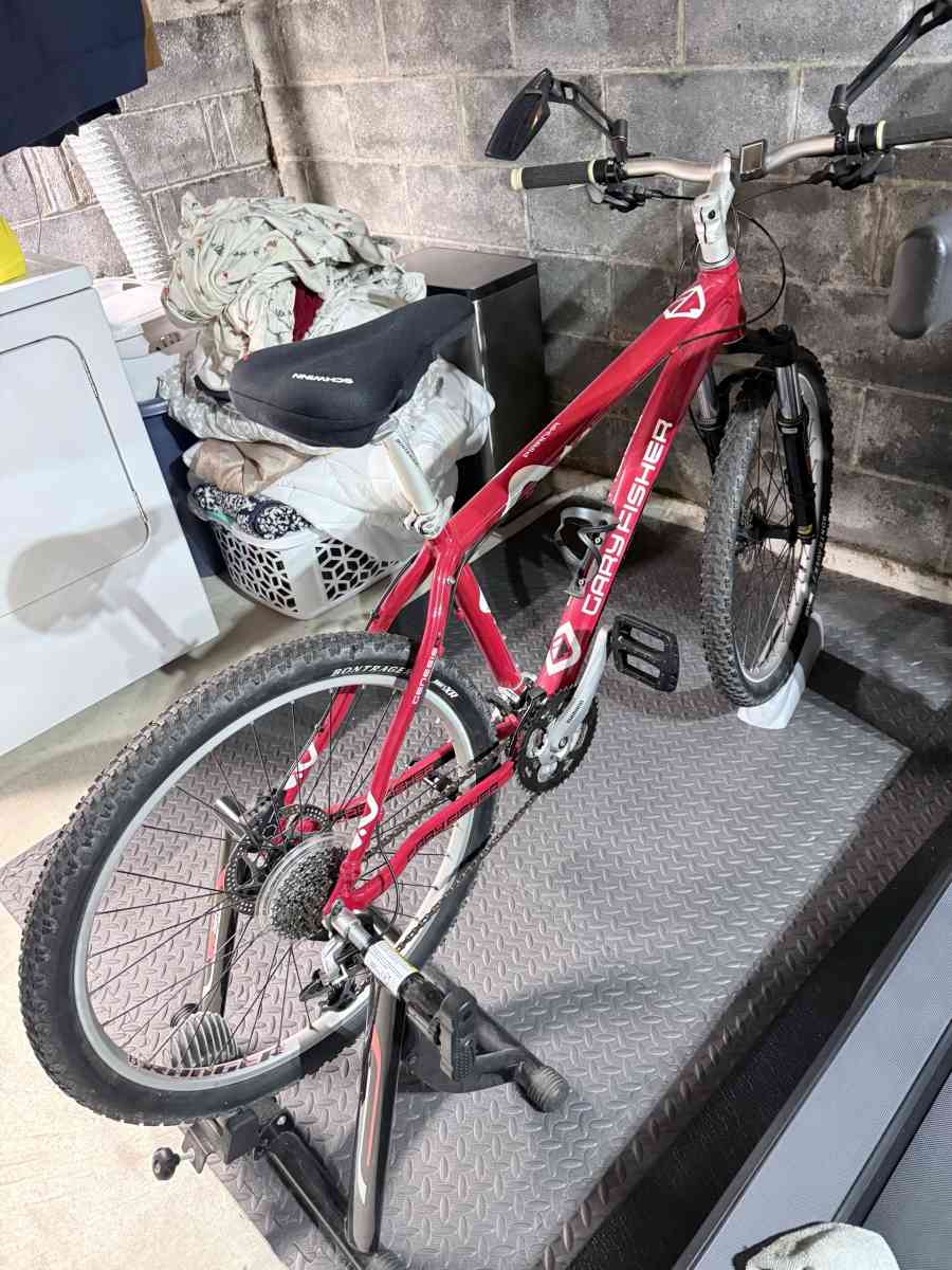 2009 Gary Fisher Piranha MTB  Hydraulic Brakes  G2 Geometry