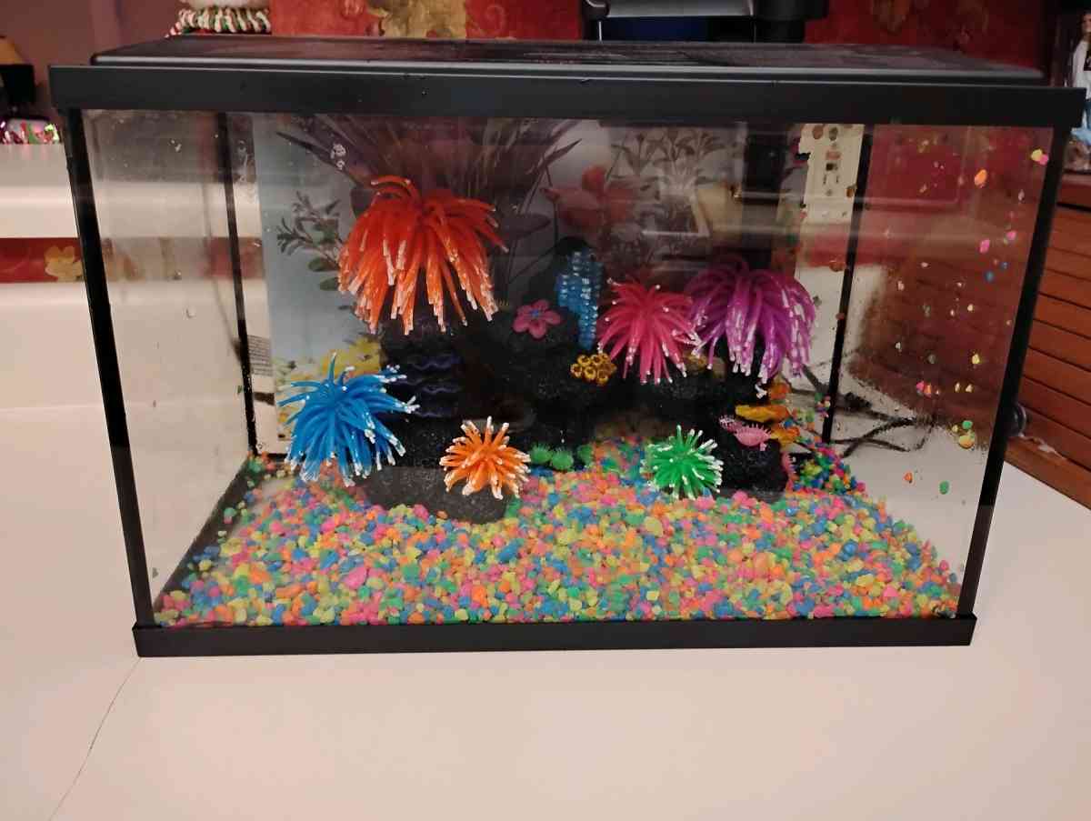 aquarium kit - Jonesboro, Arkansas - FleaMarketBay