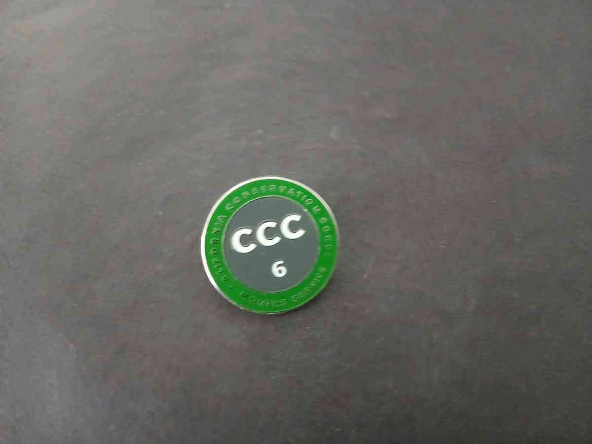 calif Conservation Corps Pins - Banning, California - FleaMarketBay