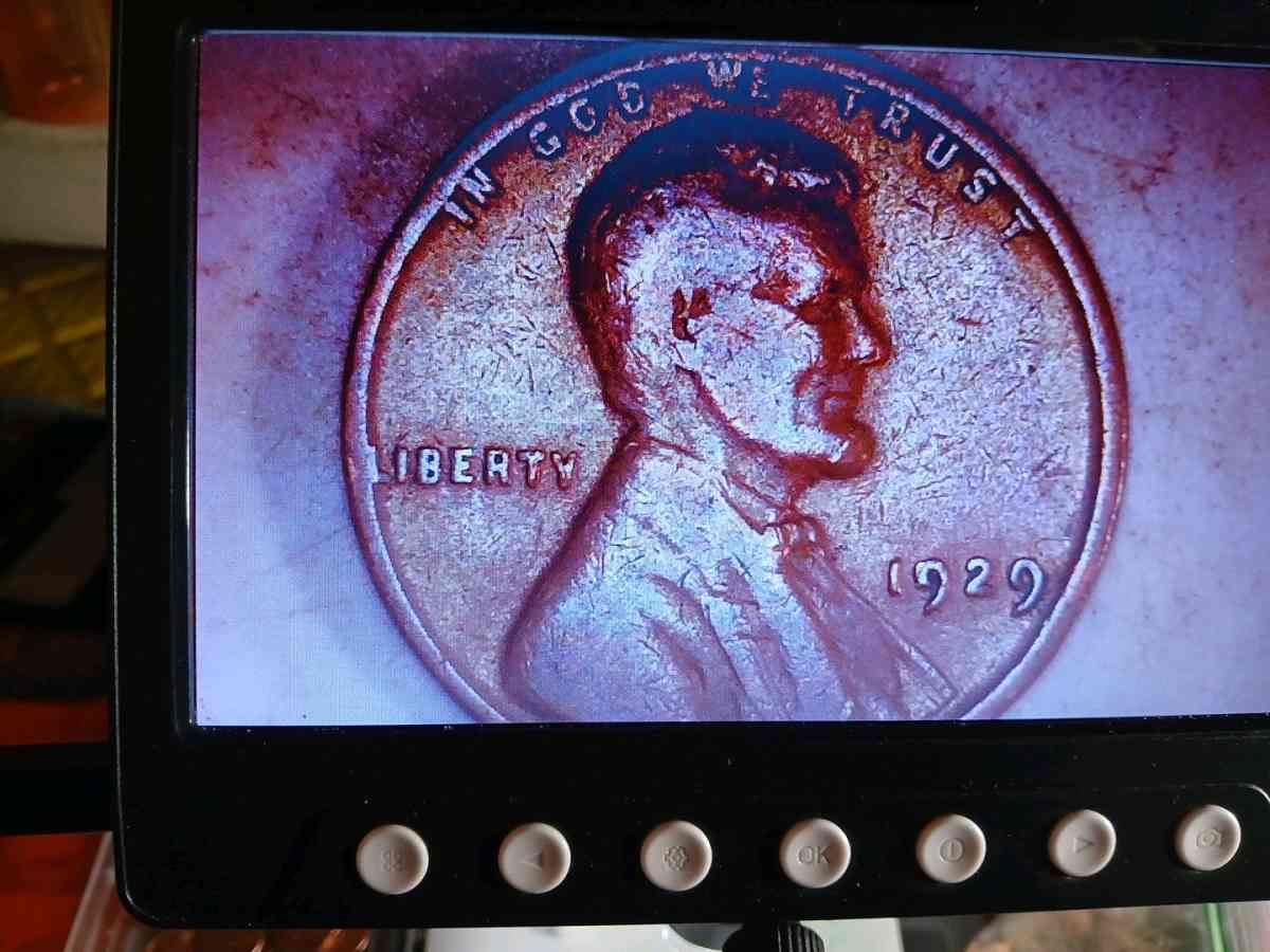Lincoln wheat pennies 1924 1925 1926 1929