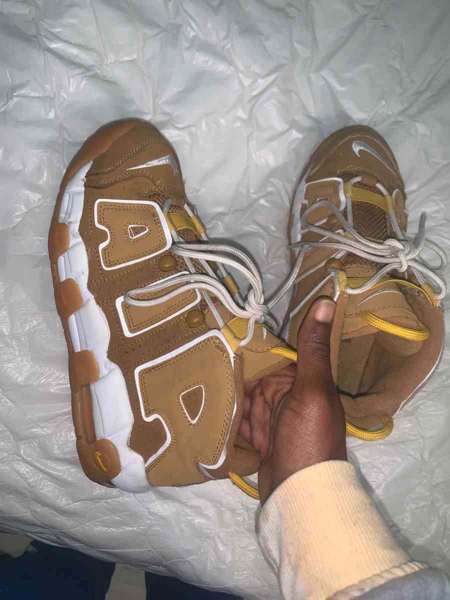 Nike air max brown - Tampa, Florida - FleaMarketBay