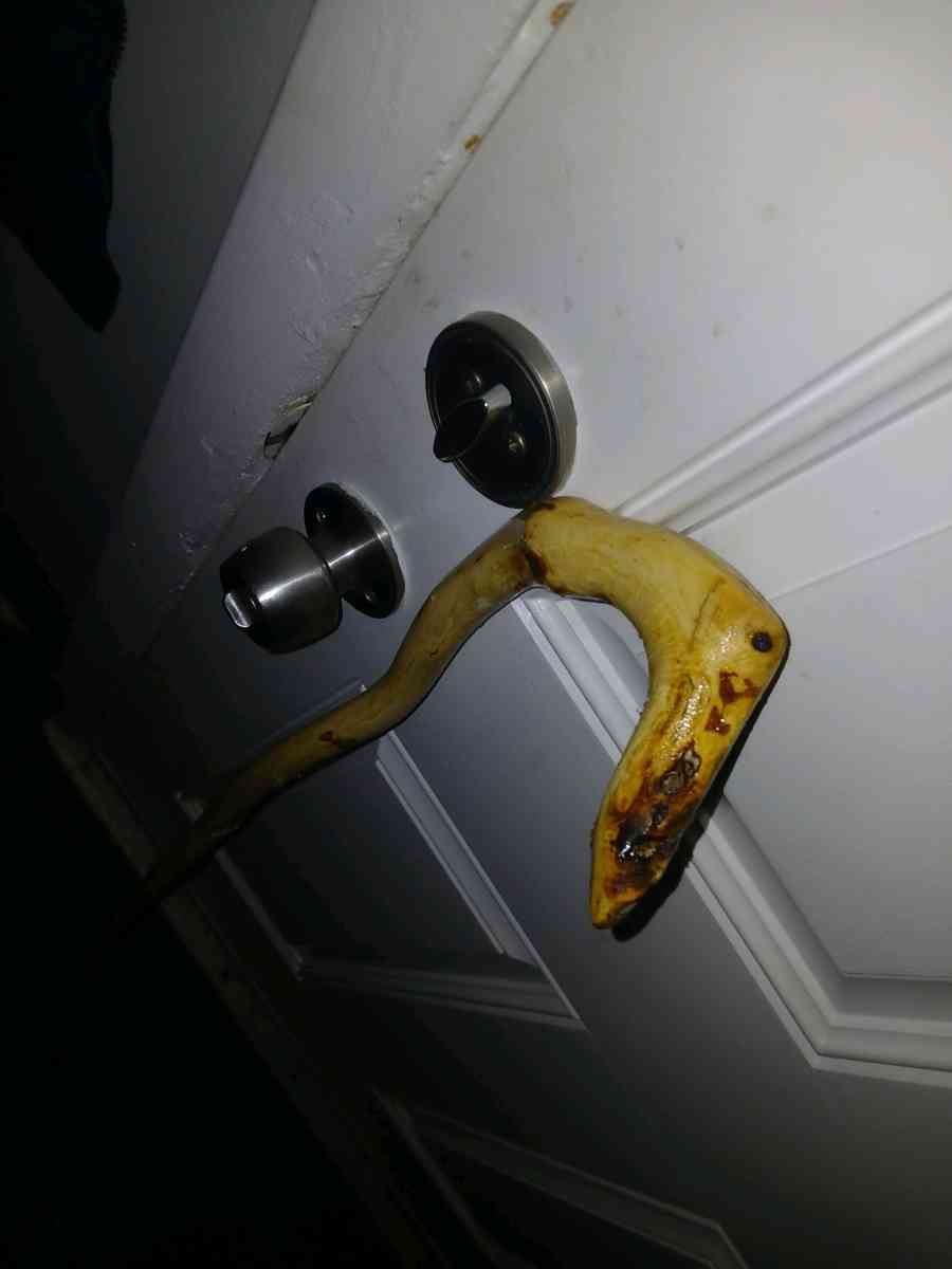 handmade walking sticks