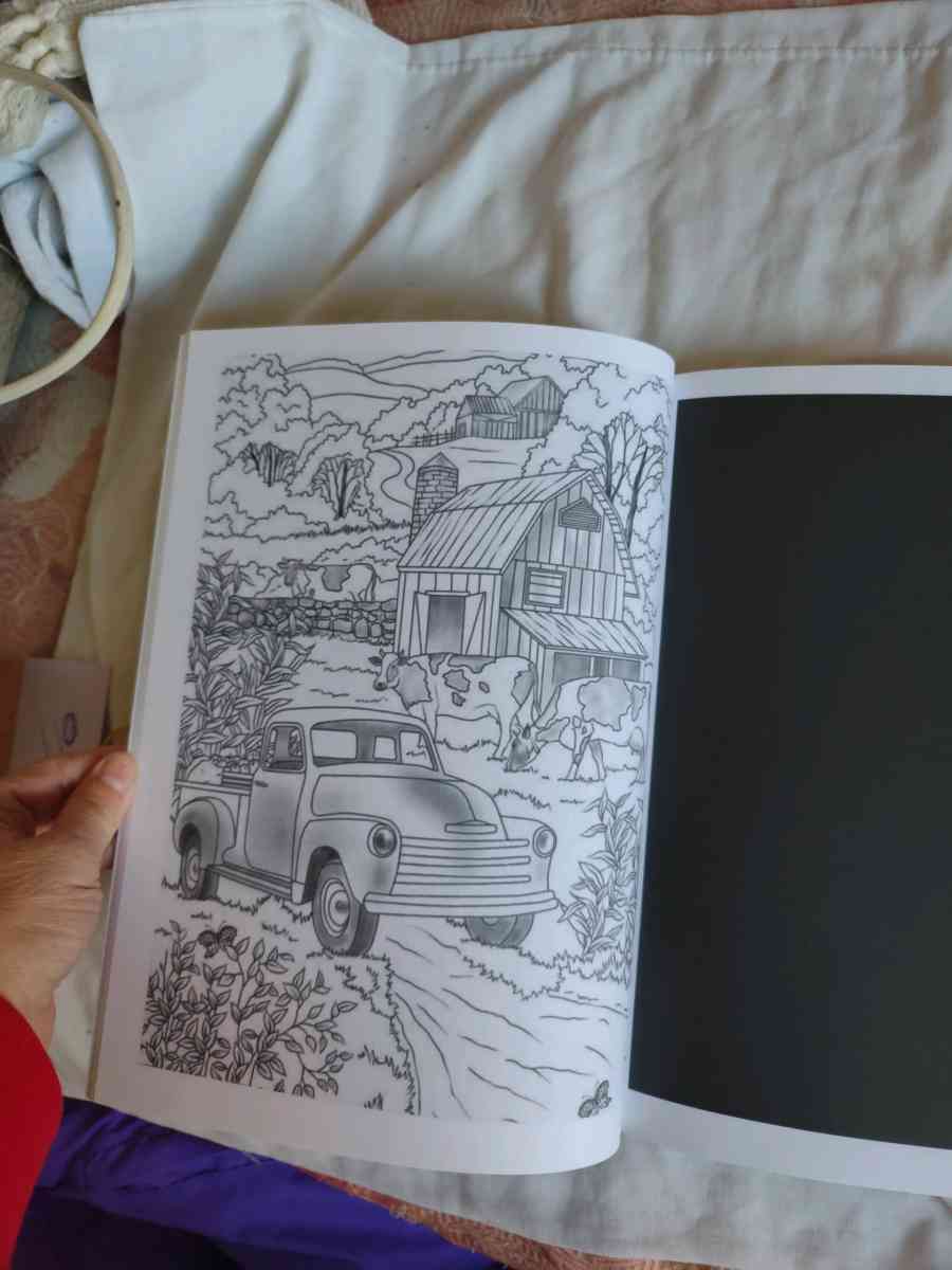 Country Summertime coloring book - Gary, Indiana - FleaMarketBay