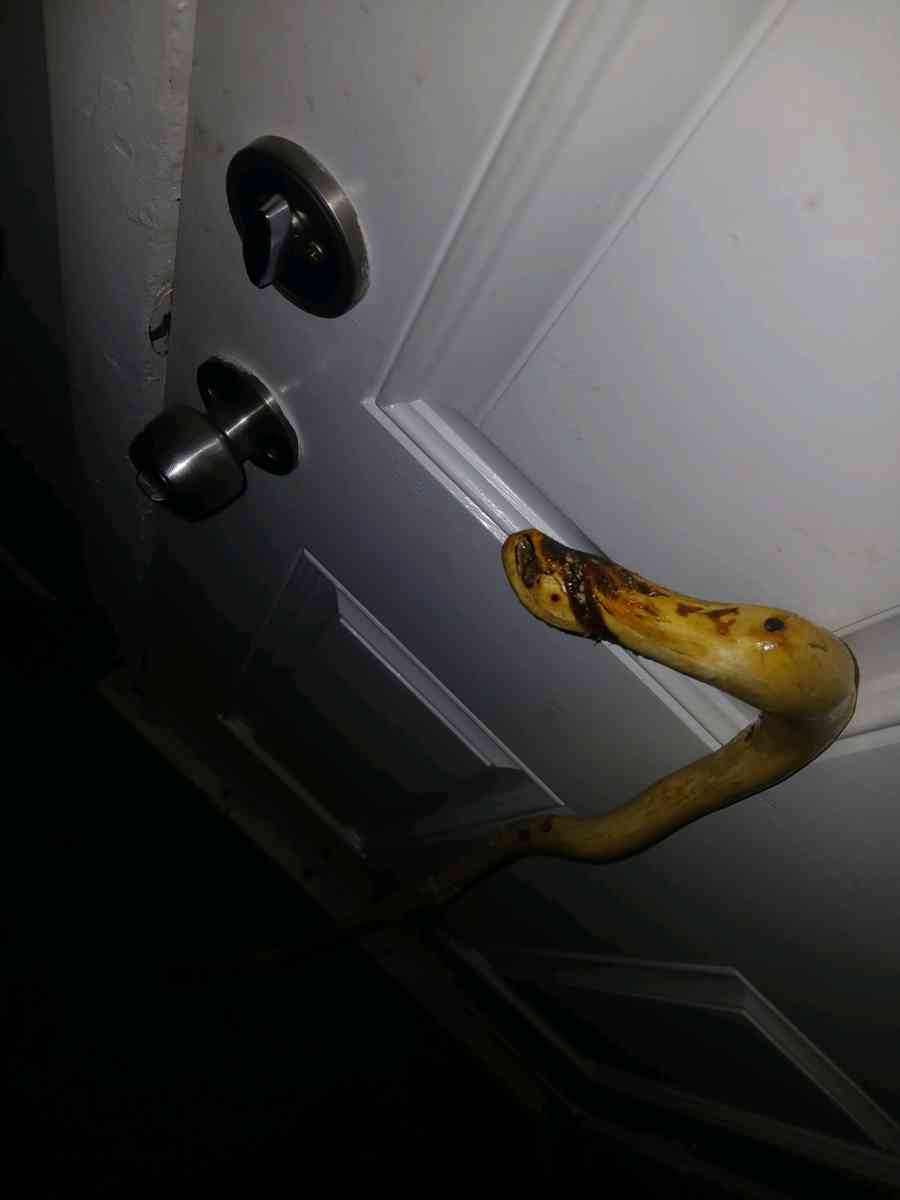 handmade walking sticks