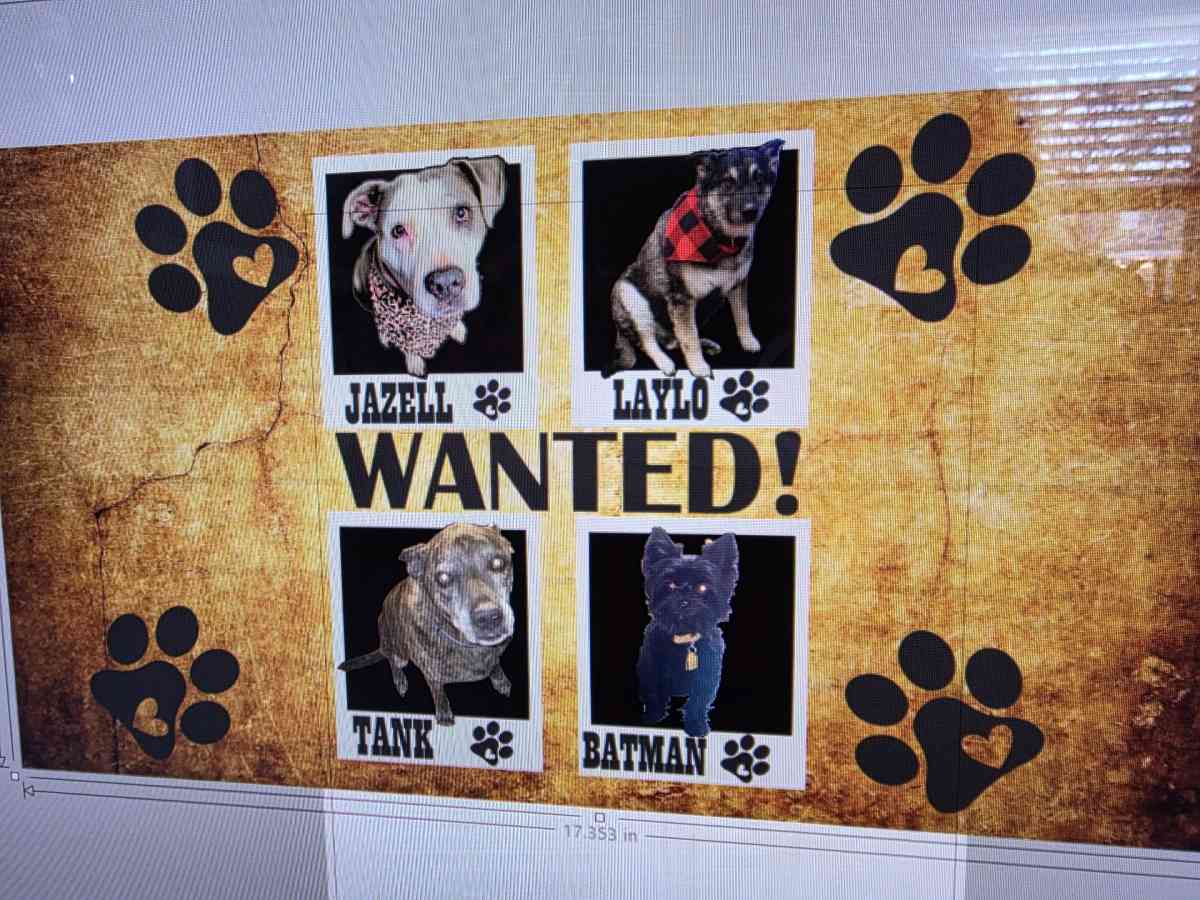 customize shirts cups