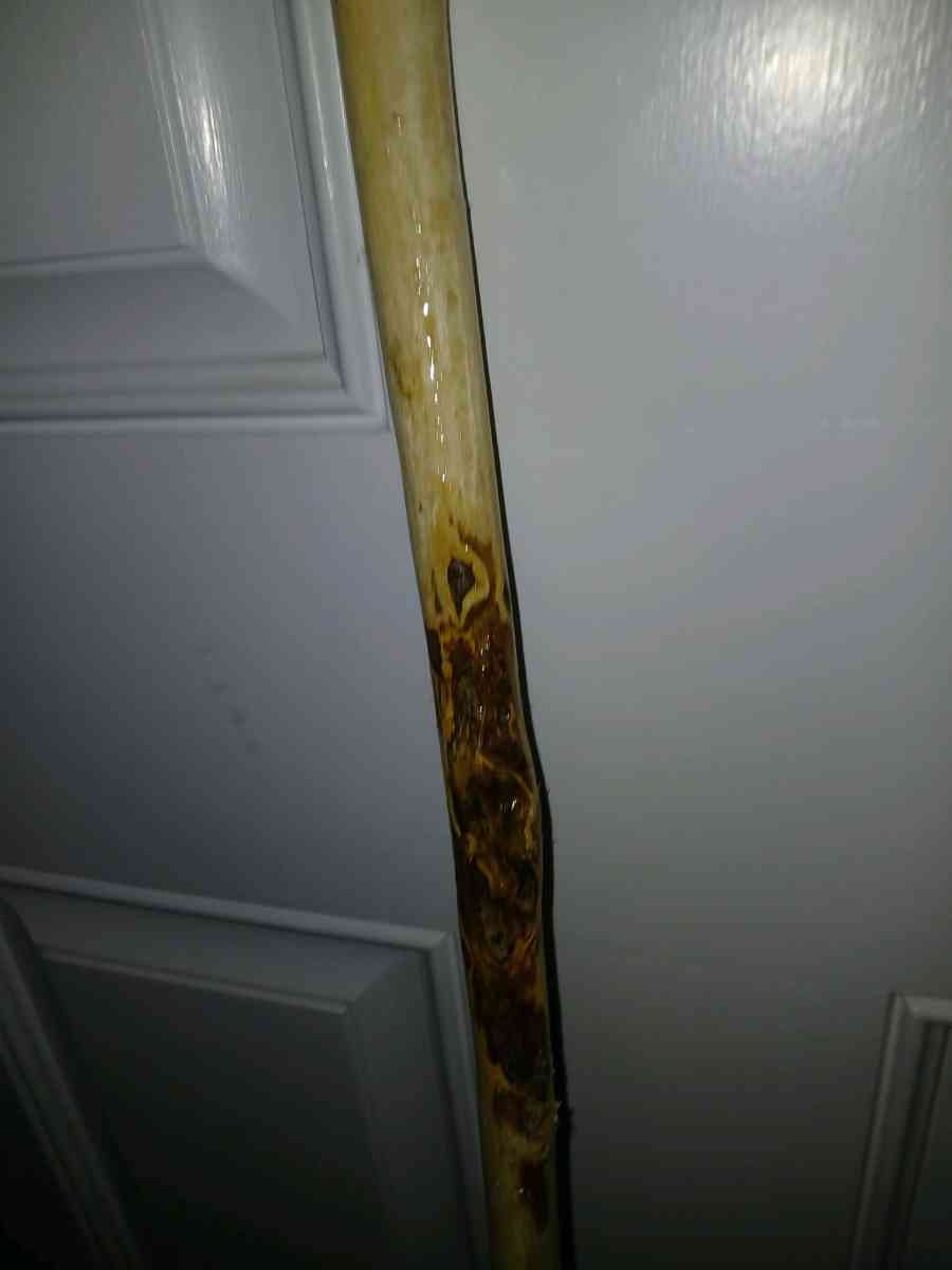 handmade walking sticks