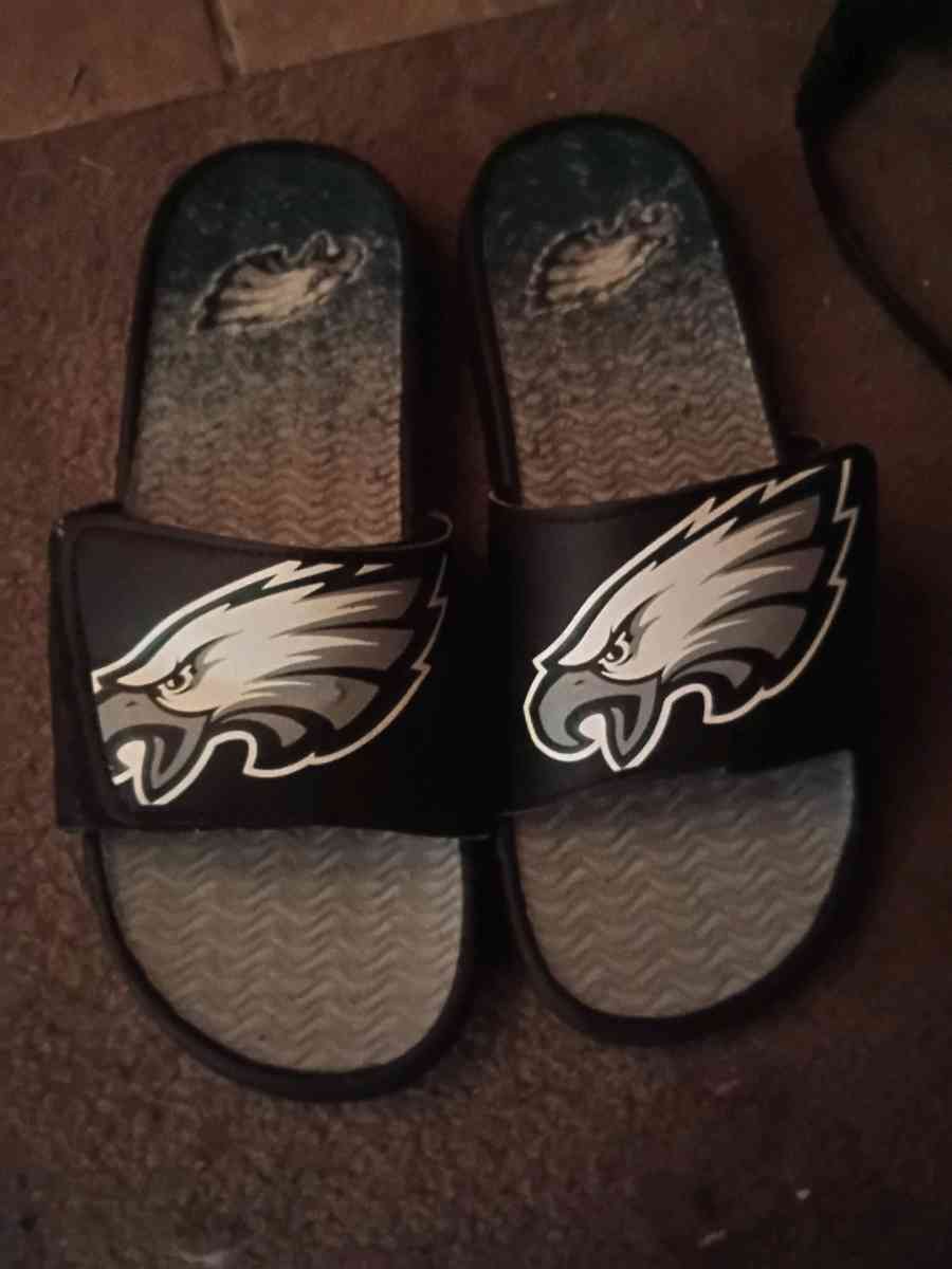 Philadelphia eagles slides