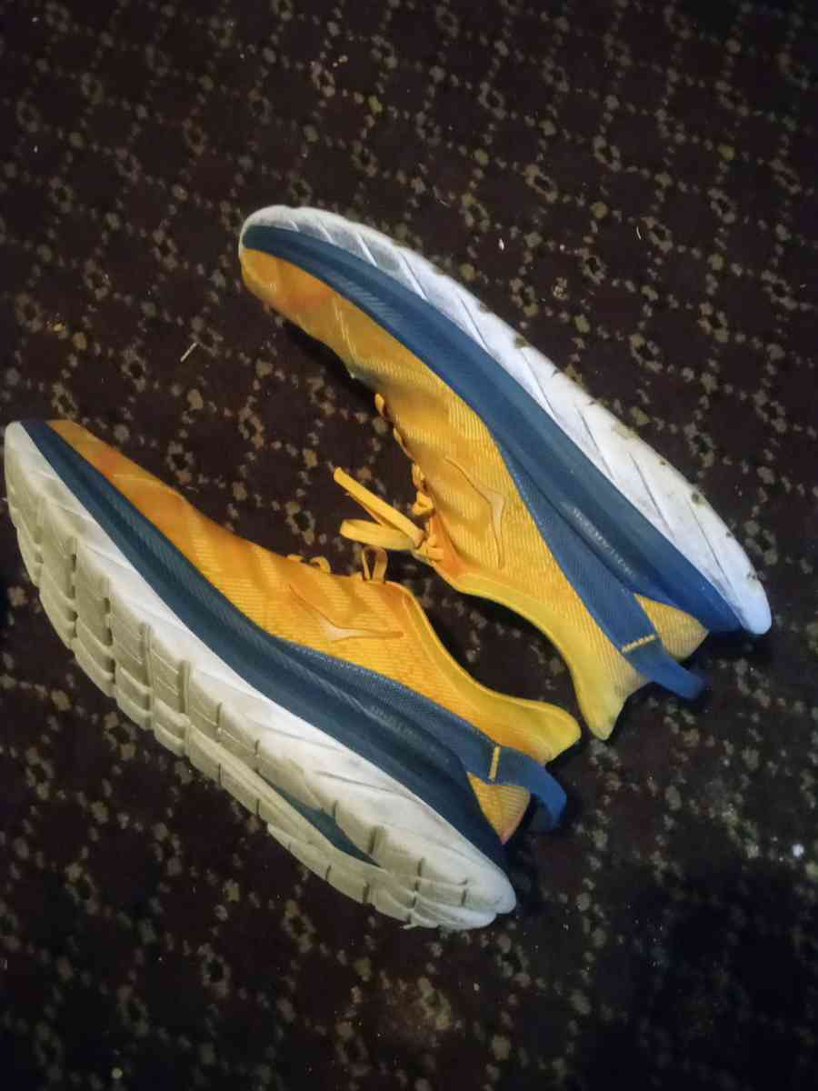 Hoka mens shoes