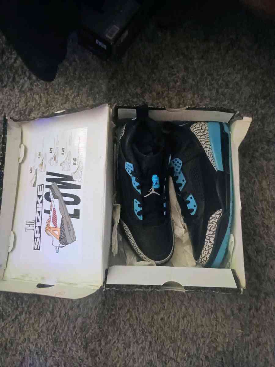 mens Jordans spizike low casual shoe