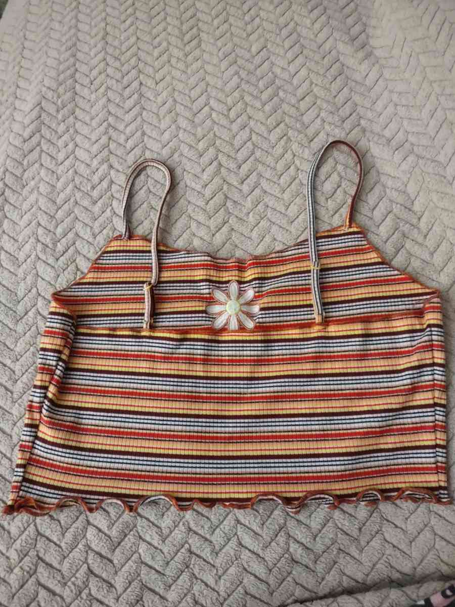 colorful striped cropped tank top