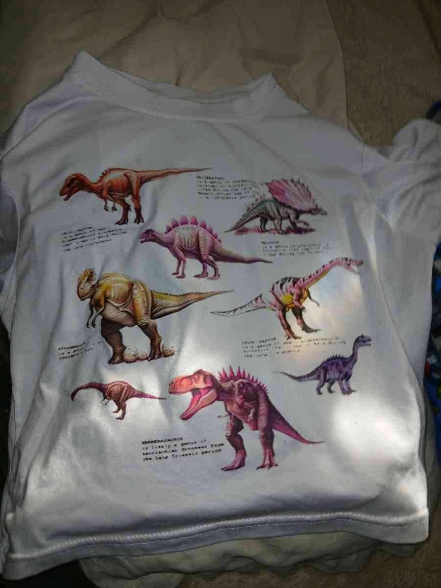 Dino womens Shirt - Murfreesboro, Tennessee - FleaMarketBay