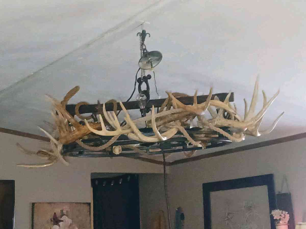 Deer antler chandelier ox yoke