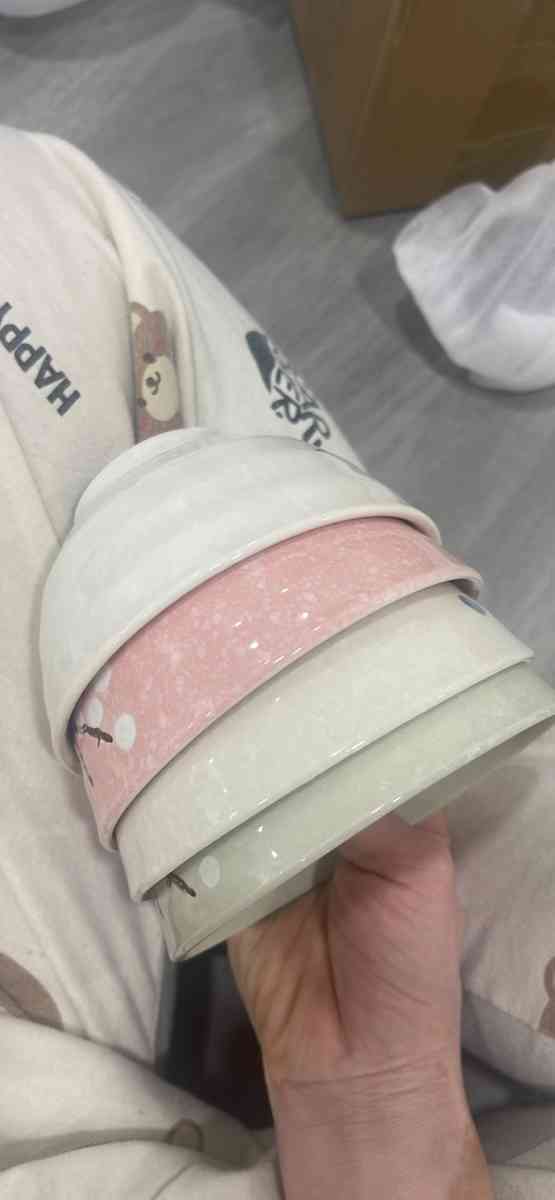 Whitenesser Japanese Rice Bowl Set of 4