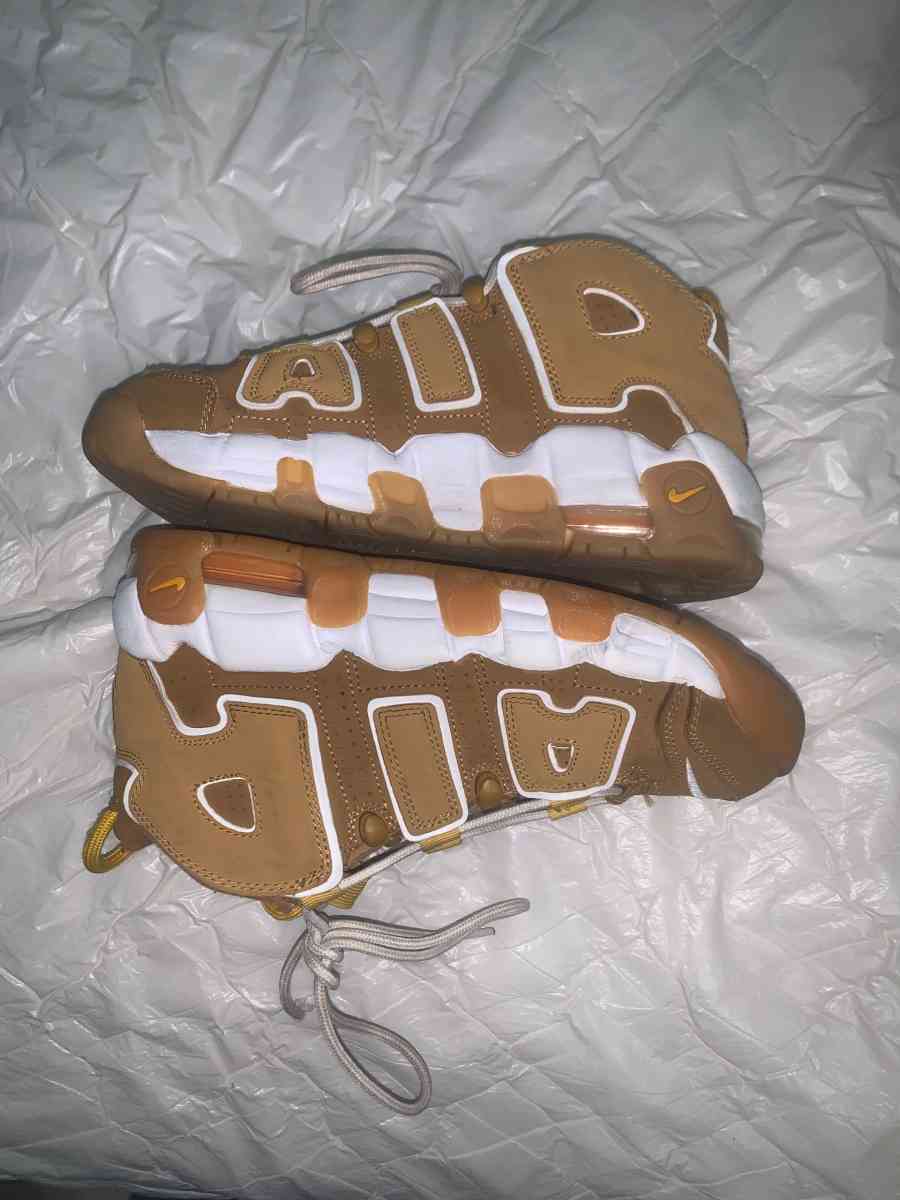 Nike air max brown - Tampa, Florida - FleaMarketBay