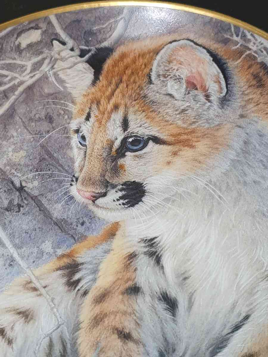 Franklin Mint First Encounter Glen Loates Tiger Porcelain Co