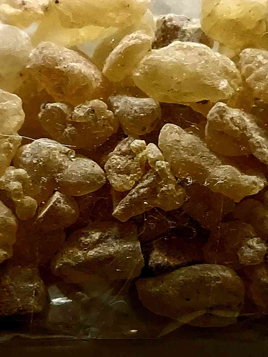 ORGANIC FRANKINCENSE NATURAL BURN CHURCH GREEK LADAN 10 GR