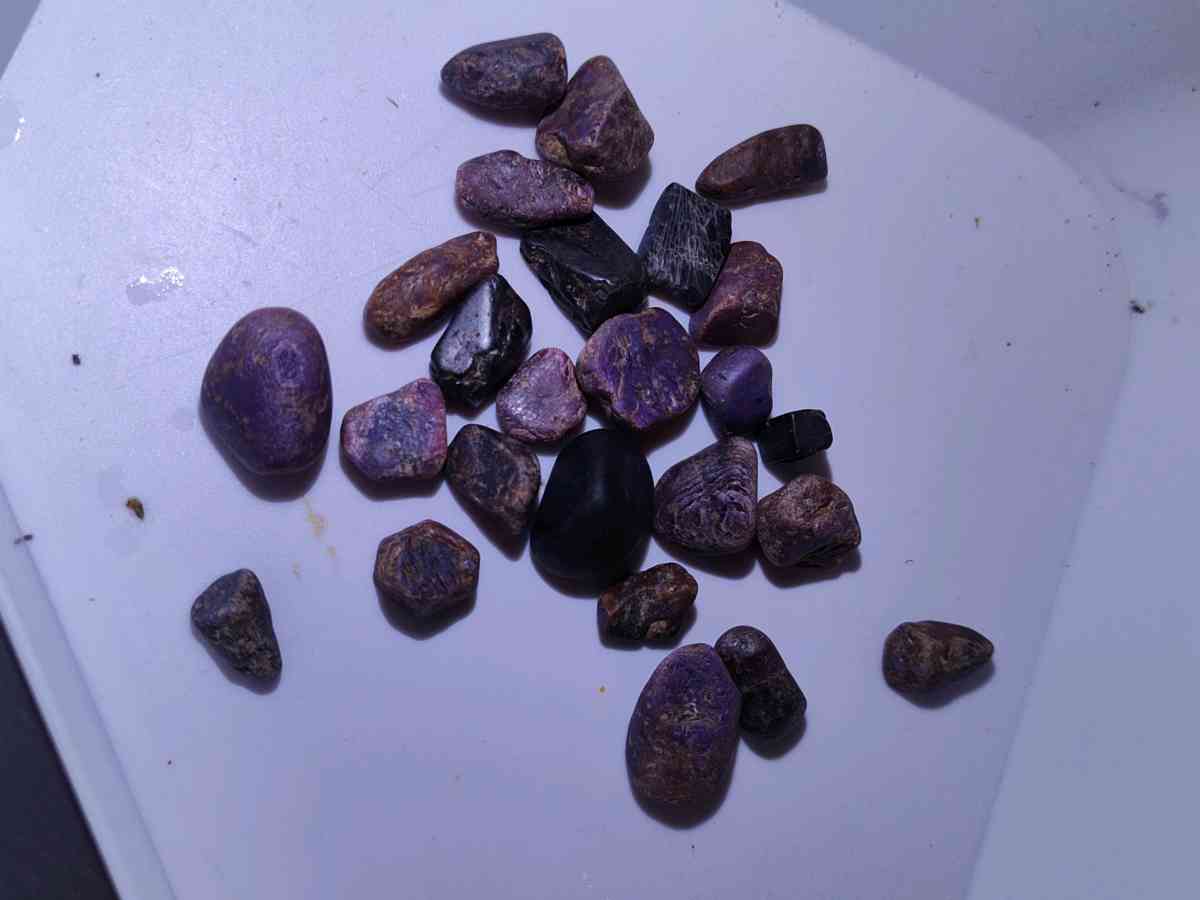 trapishe ruby - Bakersfield, California - FleaMarketBay