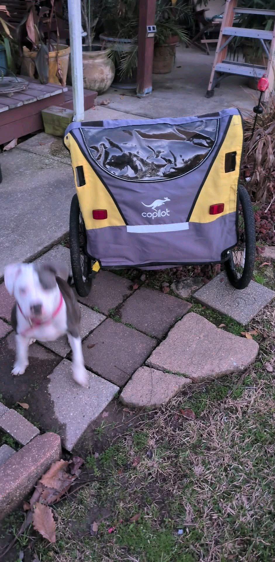 copilot bike kids trailer - Lafayette, Louisiana - FleaMarketBay