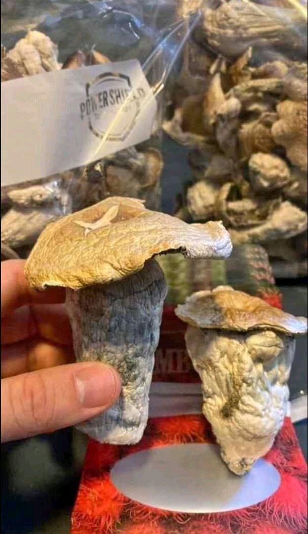 Ecstacy LSD and magic shrooms - Winchester, Idaho - FleaMarketBay