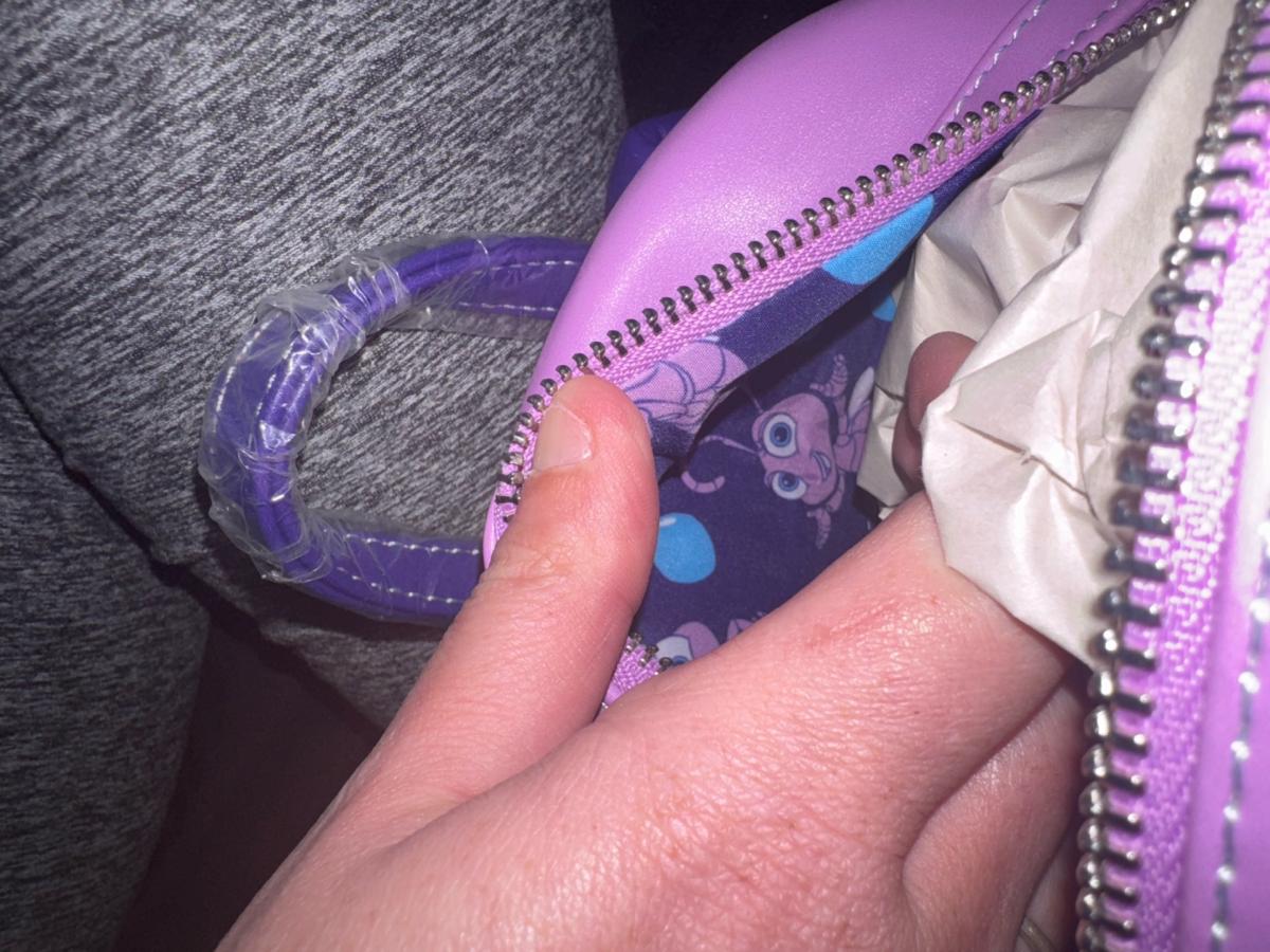 Princess Dot Loungefly Backpack - Franklin, Kentucky - FleaMarketBay