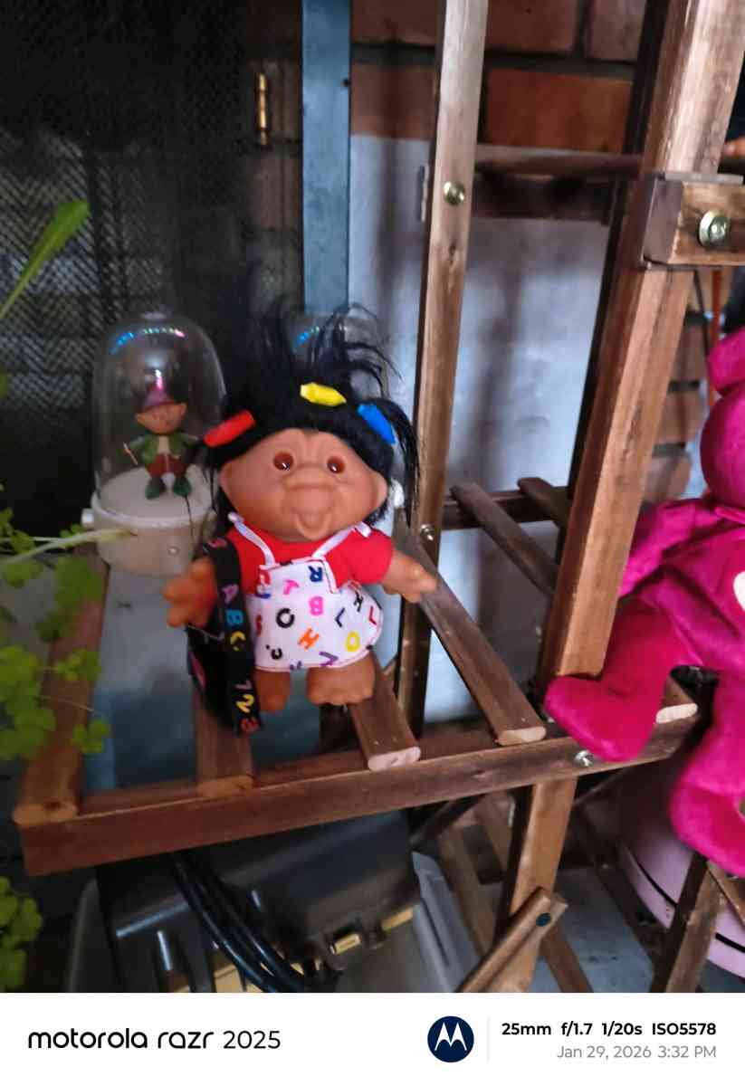 Tybeanie bear troll and angry bird