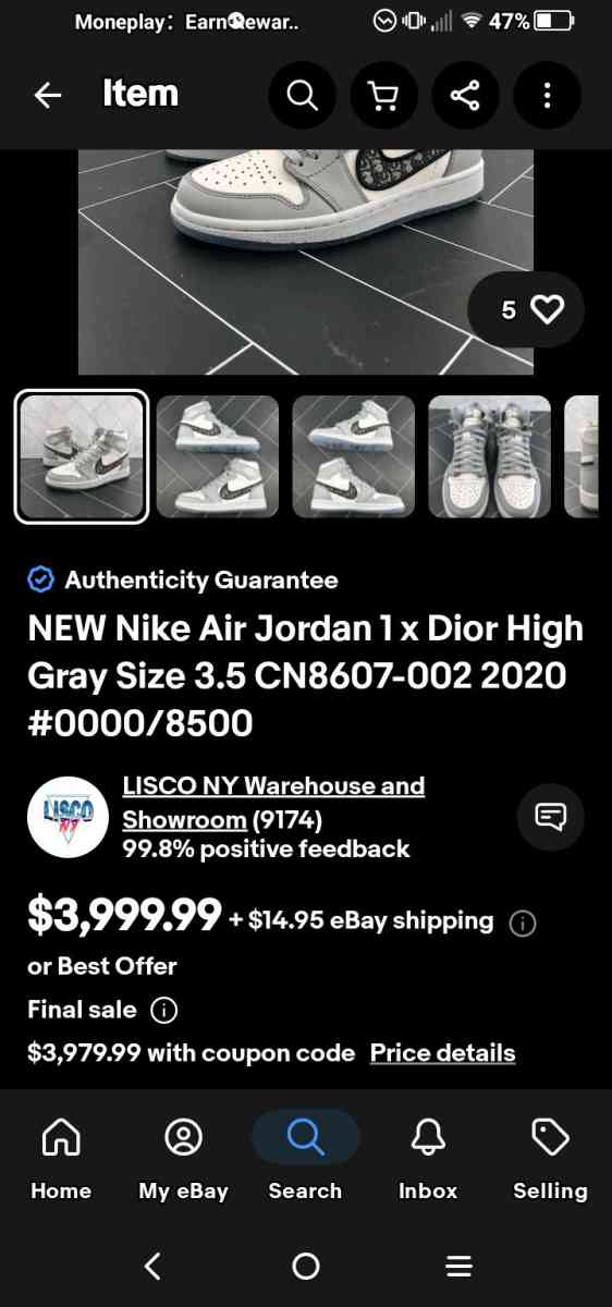 Nike Air Dior high tops