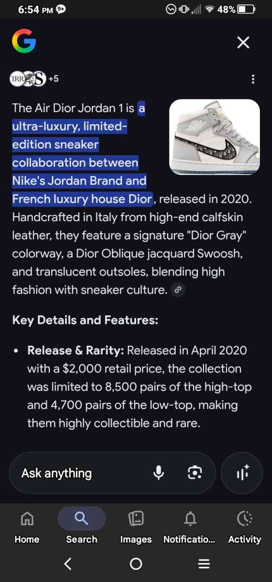 Nike Air Dior high tops