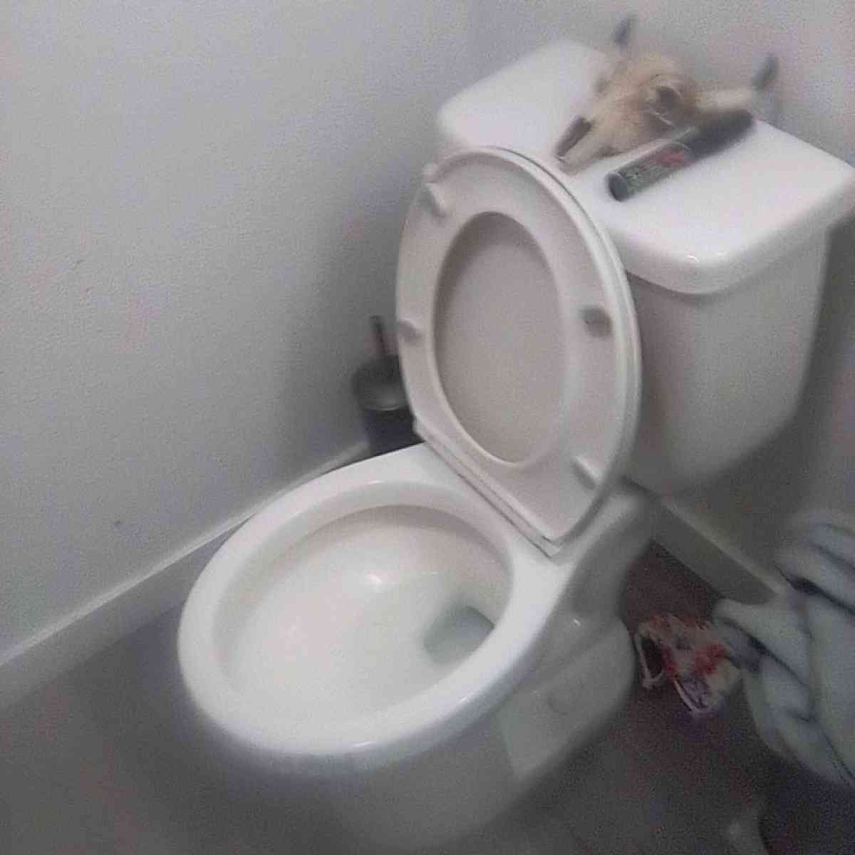 my boyfriend apartment