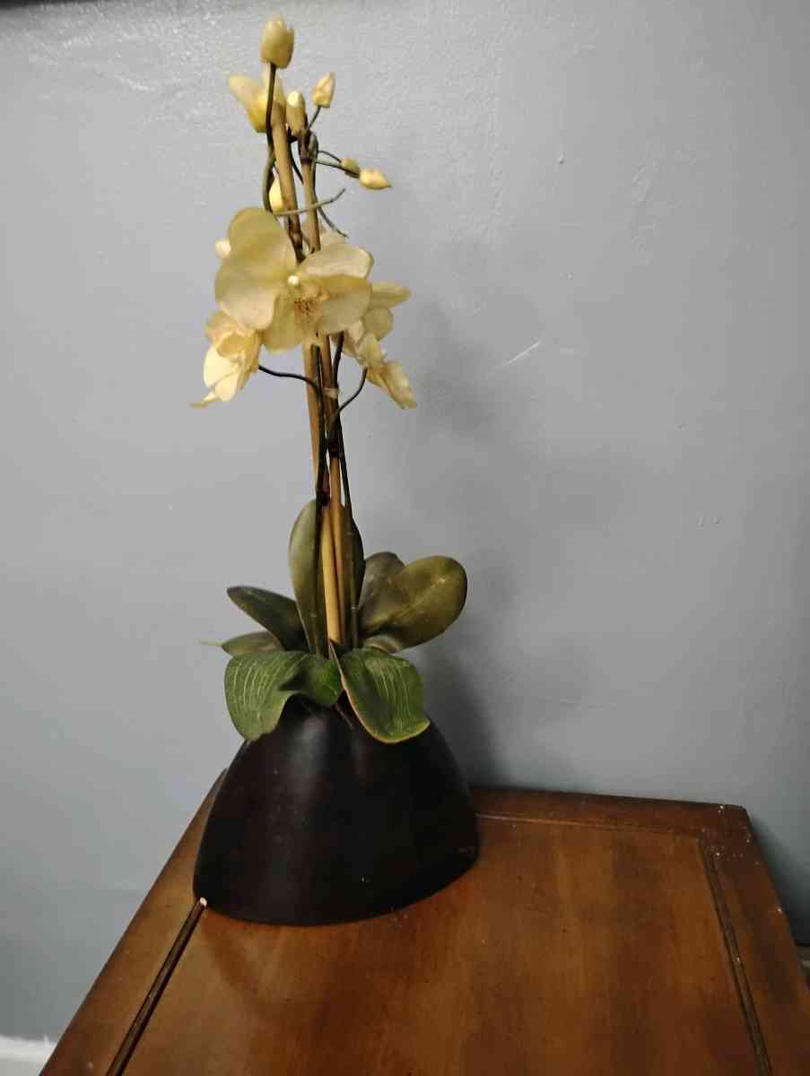 Vintage White Orchid