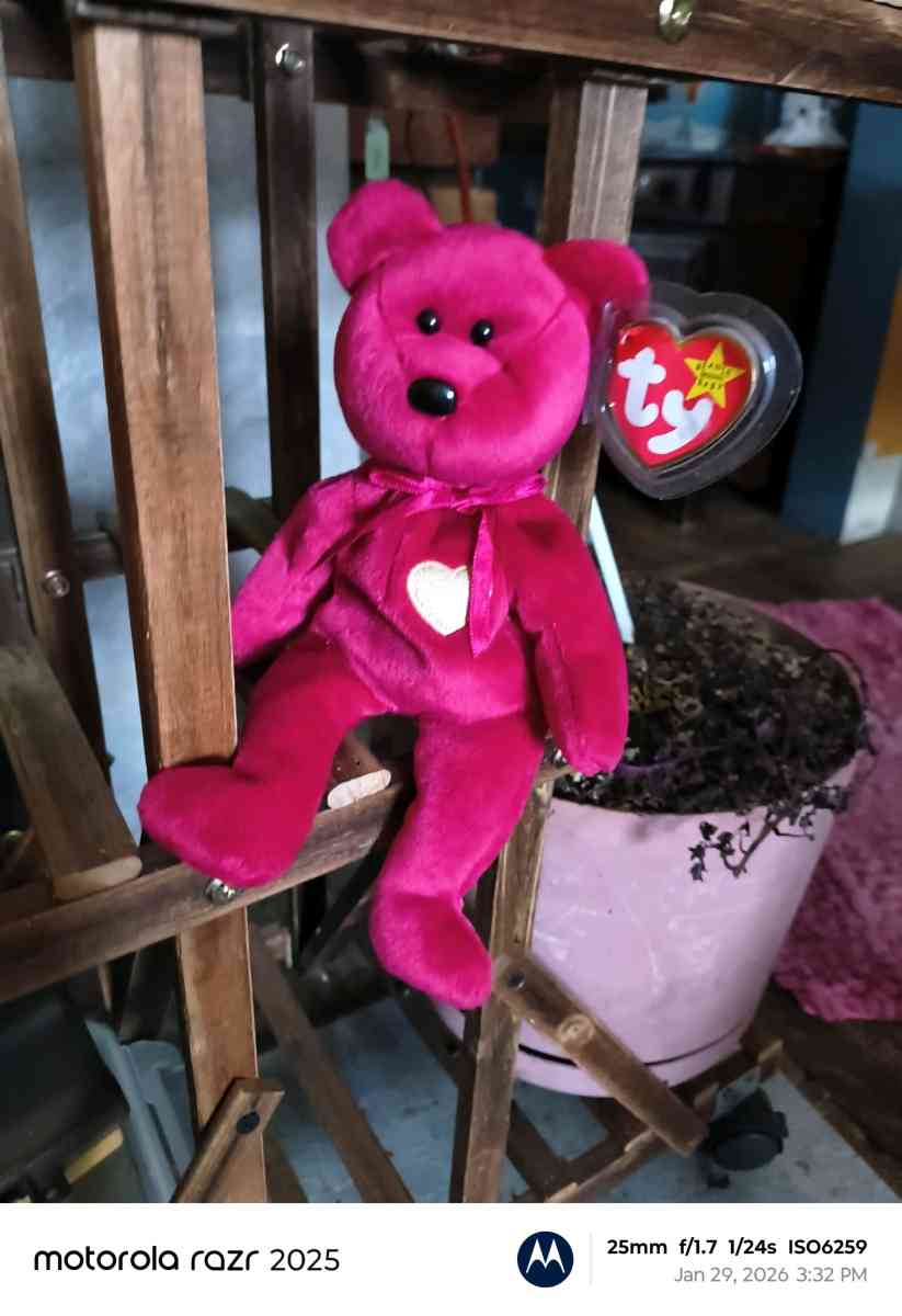 Tybeanie bear troll and angry bird