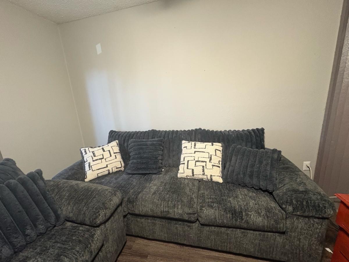 love set couch - Dallas, Texas - FleaMarketBay