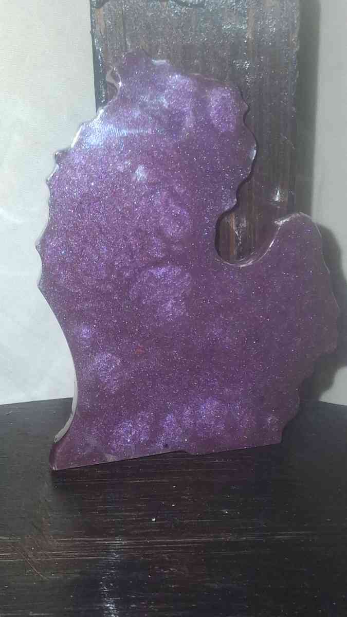 The Michigan Mitten State