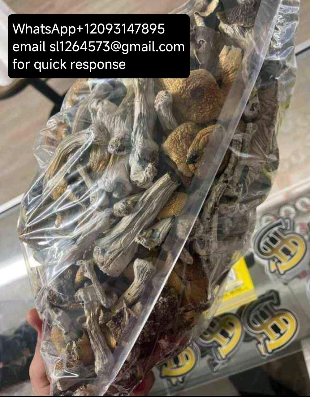 Ecstacy LSD and mshrooms - Colorado City, Colorado - FleaMarketBay