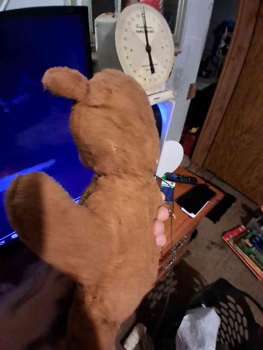 Ruston teddy bear rubber faced