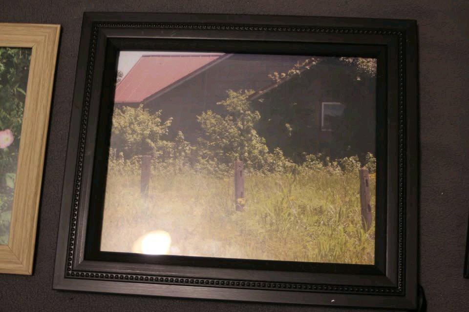 floral 8x10 photos - Princeton, Texas - FleaMarketBay