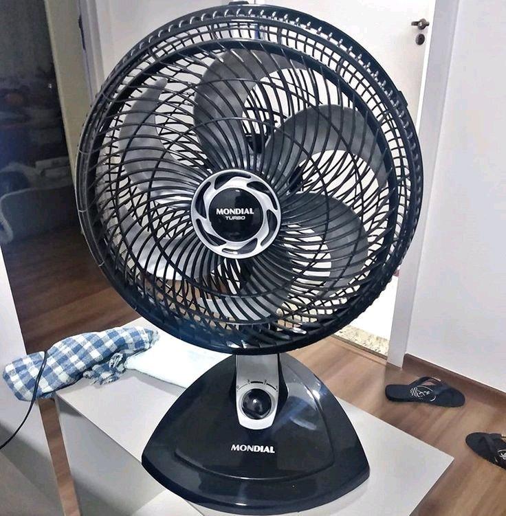 Rechargeable fan