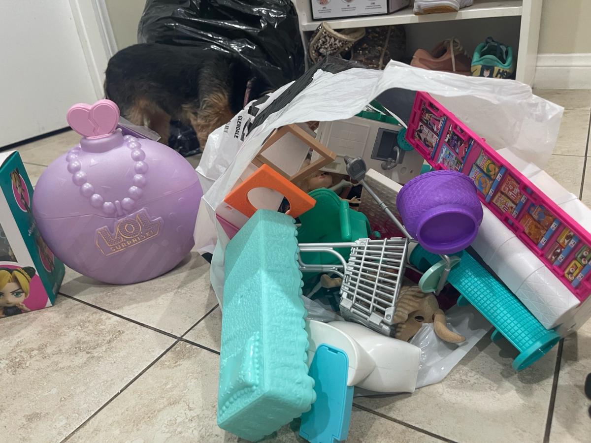 I am selling a bag of Barbie dolls and Barbie sets and etc - Reseda, California