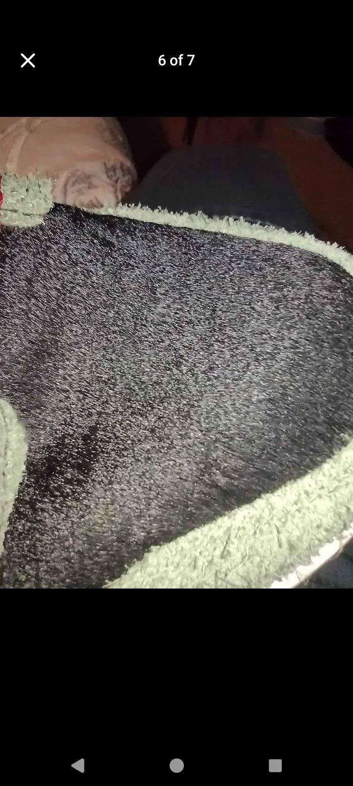 Nike sb walk the dog - Gheens, Louisiana - FleaMarketBay