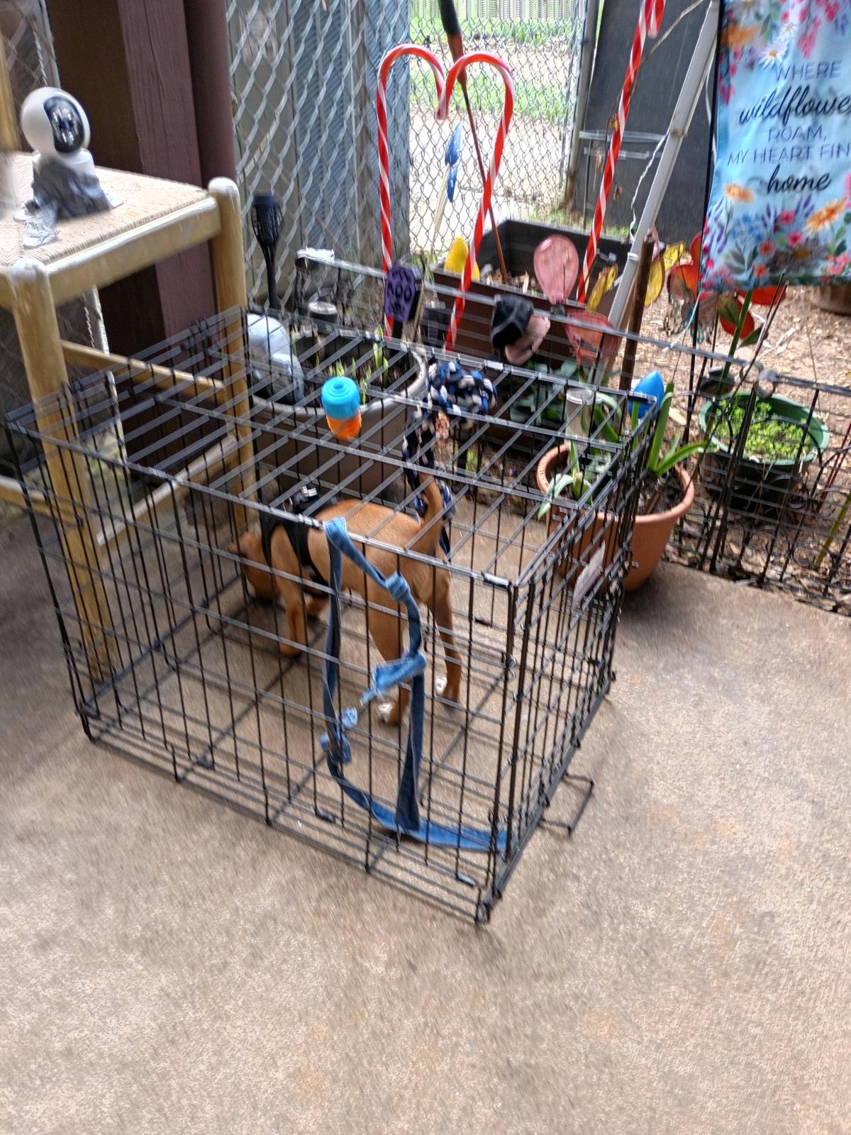 micheal kors - Jeffersonville, Georgia