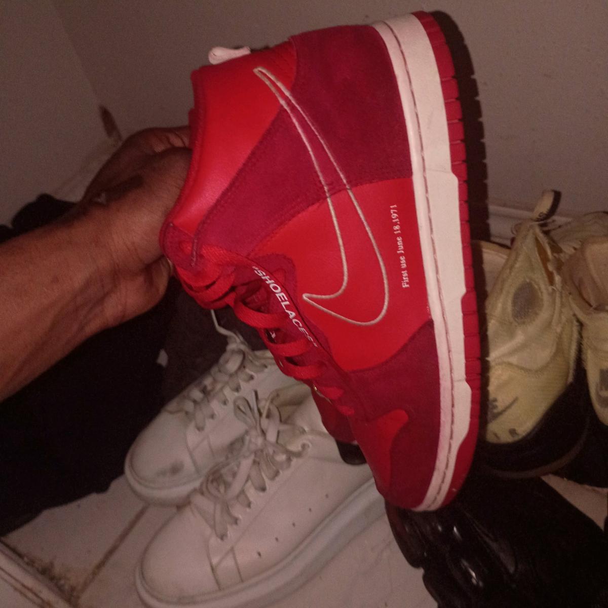 Nike dunks - Abilene, Texas - FleaMarketBay