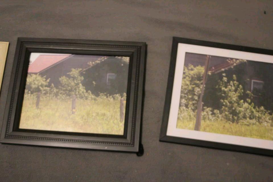 floral 8x10 photos - Princeton, Texas - FleaMarketBay