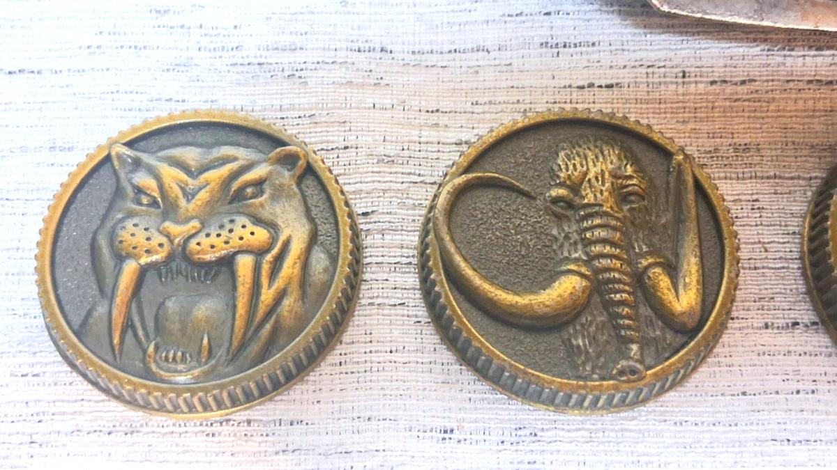 Power Rangers Morpher Bundle Complete Coin Set - Spring Hill, Florida - FleaMarketBay