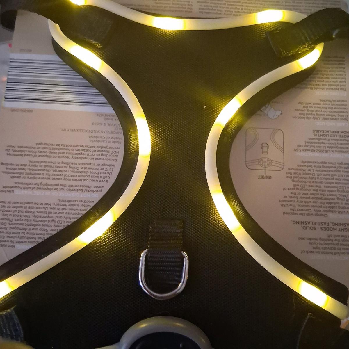 Complete Small Dog Starter Bundle  21 Crate LED Harness Pet - Philadelphia, Pennsylvania - FleaMarketBay