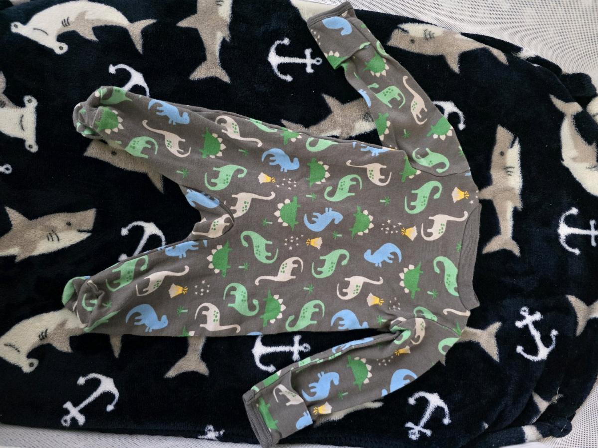 Dino sleeper - Odenton, Maryland - FleaMarketBay